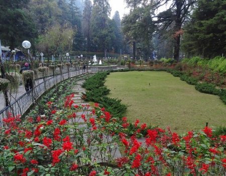 194726622Mussoorie_Company_Bagh_Main