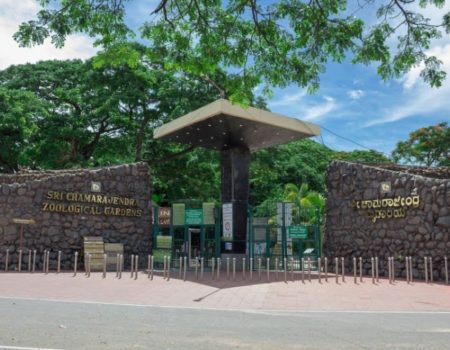 43bb2fb9cdbbf666ea1303c12c46db36_1000x1000