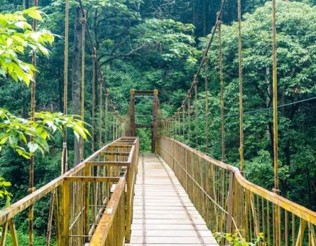 Coorg4 rdn3gkncgshcfqoi04gkzdfit9b51jplh57udmrp64 Coorg4