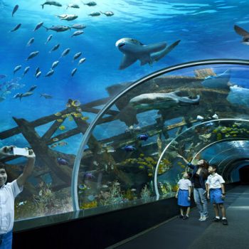 SEA-Aquarium-Singapore
