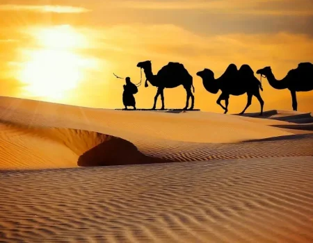 Untitled design 22 1 Untitled-design-22-1