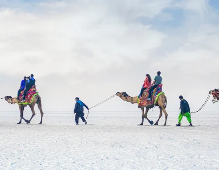 White-rann-camel-ride