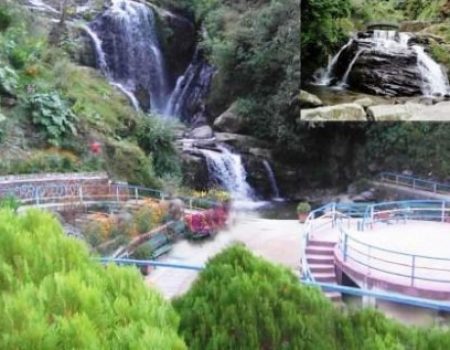 darjeeling-tour-service-544