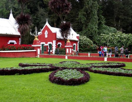 one day ooty trip from coimbatore sightseeing tour package botanical garden one-day-ooty-trip-from-coimbatore-sightseeing-tour-package-botanical-garden