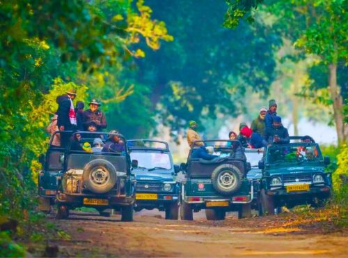 raja-ji-national-park